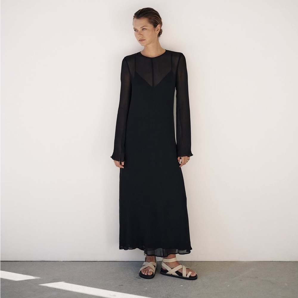 DISSH Sheer Long Sleeve Maxi Dress